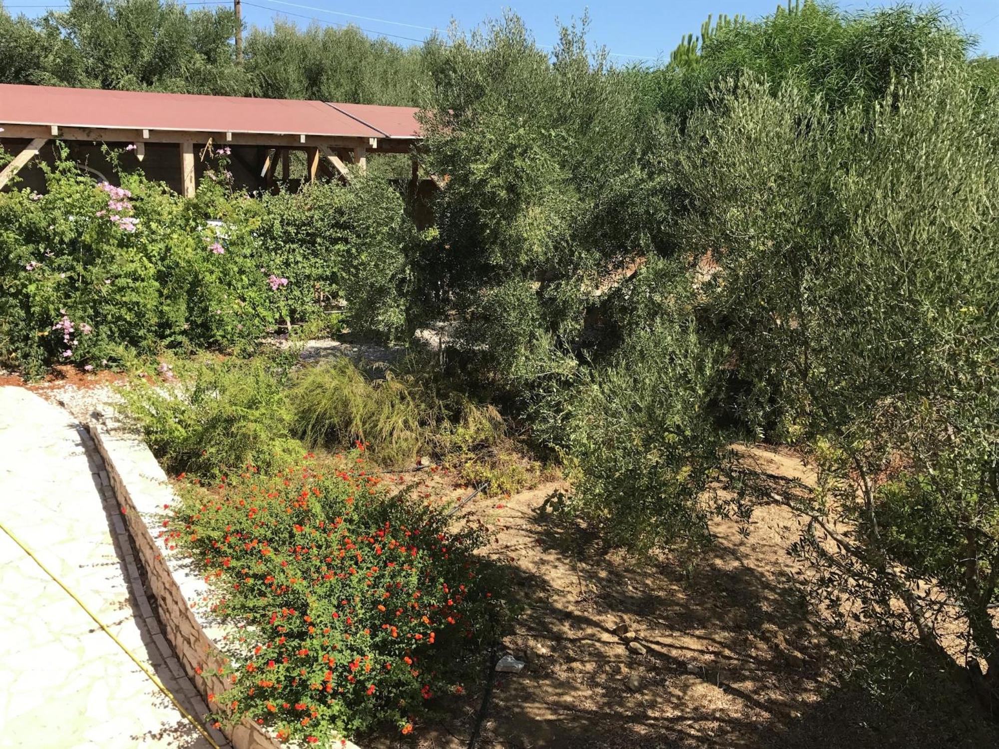 Luxurious Villa In Peloponnese With Swimming Pool Kamária Esterno foto